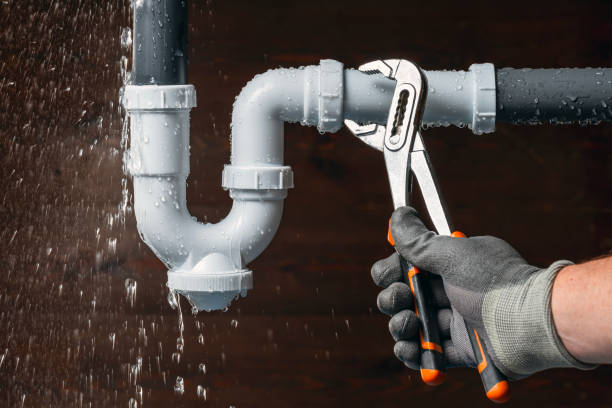 Professional Plumbing technician working in Saline, MI
